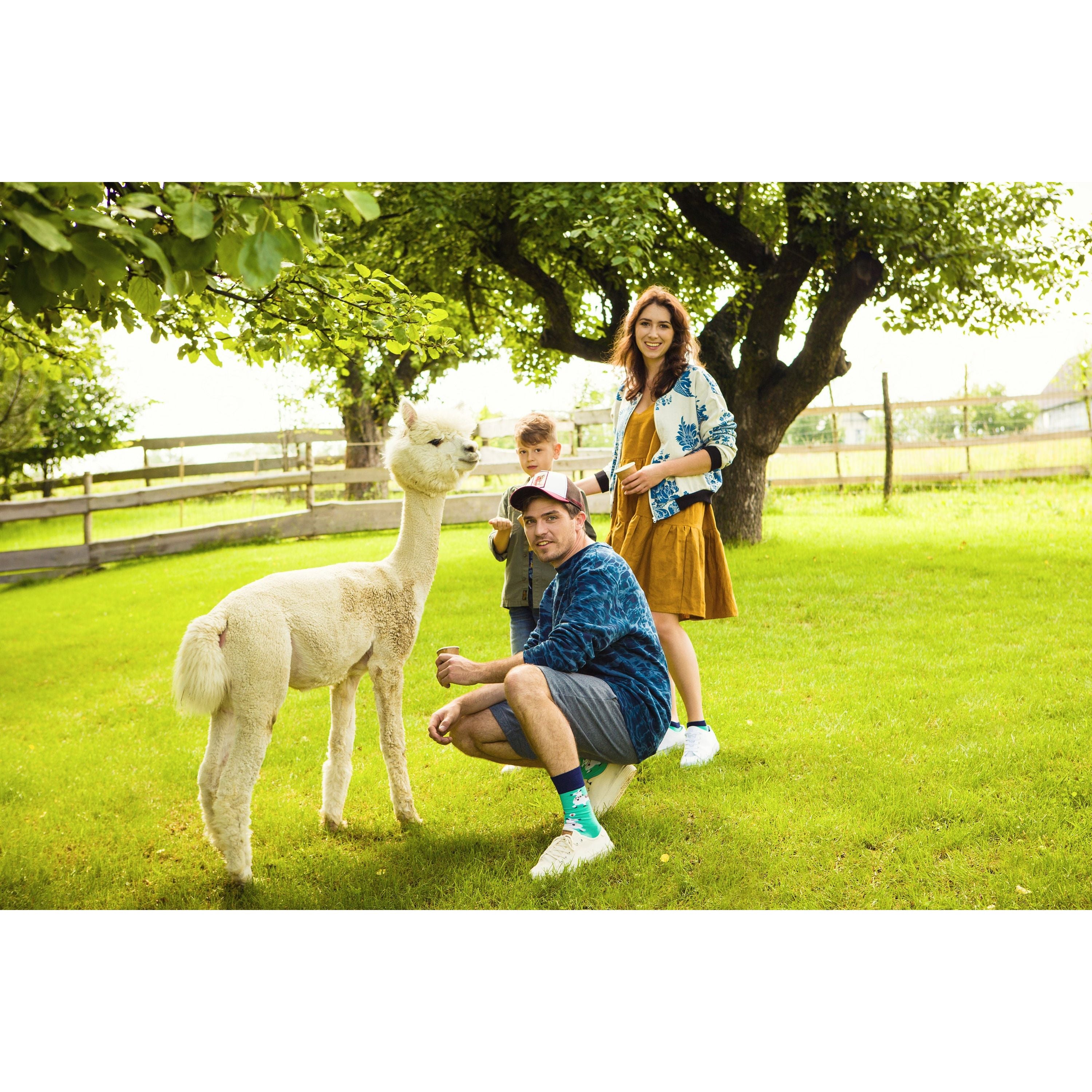 Paka Life- Alpaka Socken