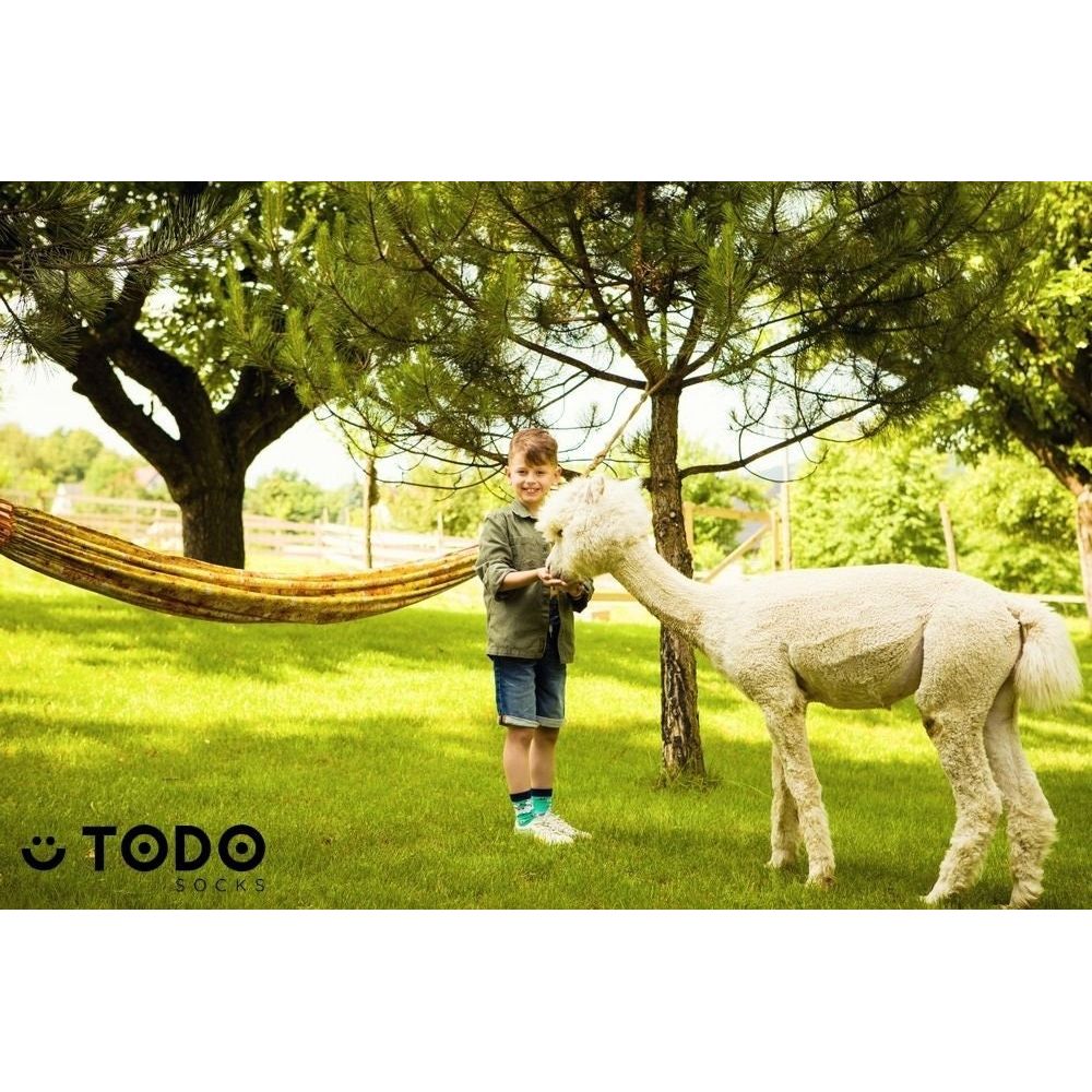 Paka Life- Alpaka Kindersocken